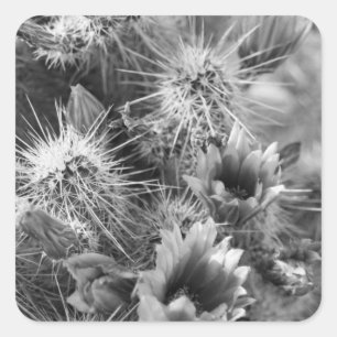 Stickers autocollants personnalisées B&W Desert Fl