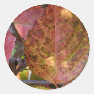 Stickers Automne