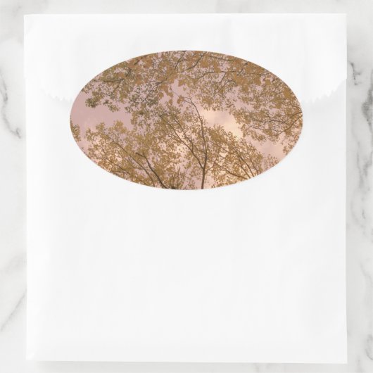 Stickers 'Automne Rose' (Sac)