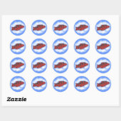 Stickers Avion (Feuille)