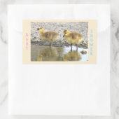 Stickers baby shower Goslings (Sac)