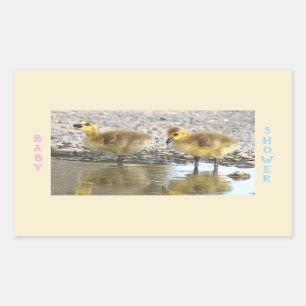 Stickers baby shower Goslings