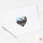 Stickers Bald Eagle Open Wings (Enveloppe)