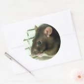 Stickers Bell Rat (Enveloppe)