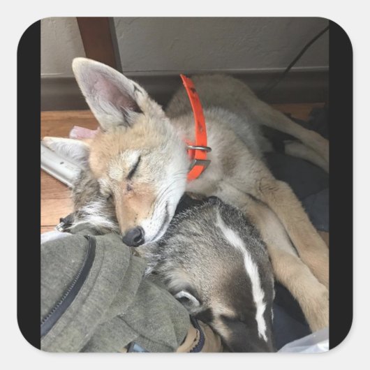 Stickers Benny et Doc (Devant)