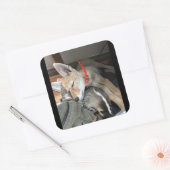 Stickers Benny et Doc (Enveloppe)