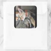 Stickers Benny et Doc (Sac)