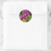 Stickers Bergenia Flower (Sac)