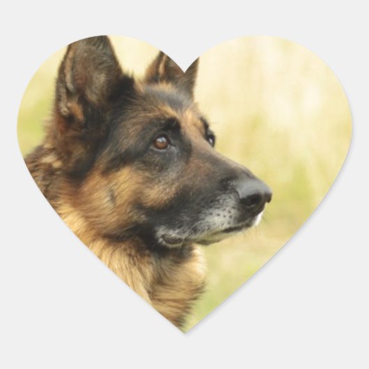 Stickers berger allemands mignons (Devant)