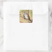 Stickers BirdingCollectibles (Sac)