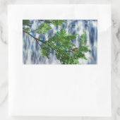 Stickers Birdsnest Falls (Sac)