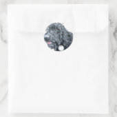 Stickers Black Labradoodle (Sac)