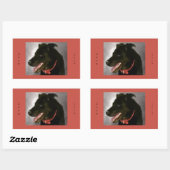 Stickers Black Labrador (Feuille)