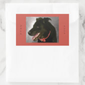 Stickers Black Labrador (Sac)
