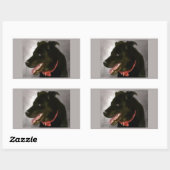 Stickers Black Labrador (Feuille)