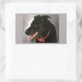 Stickers Black Labrador (Sac)