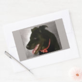 Stickers Black Labrador (Enveloppe)