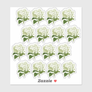 Stickers blanc antique Hydrangea Blossom
