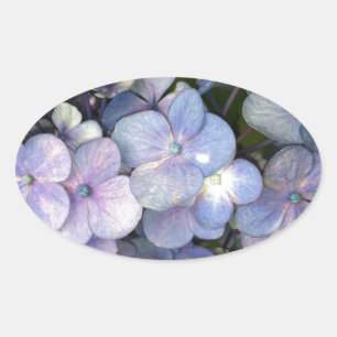 Stickers bleu violet Hydrangea Oval