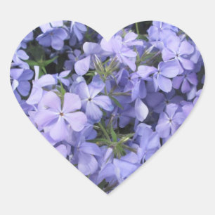 Stickers - Blue Phlox I