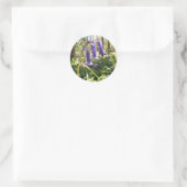 Stickers Bluebells (Sac)