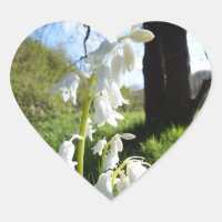 Stickers Bluebells blancs