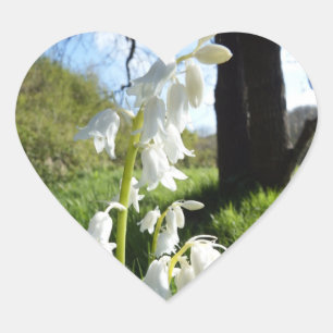 Stickers Bluebells blancs