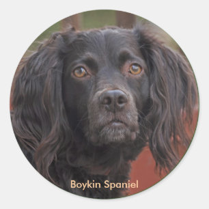 Stickers Boykin Spaniel