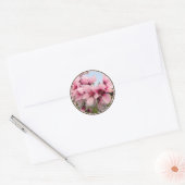 Stickers Branche rose (Enveloppe)