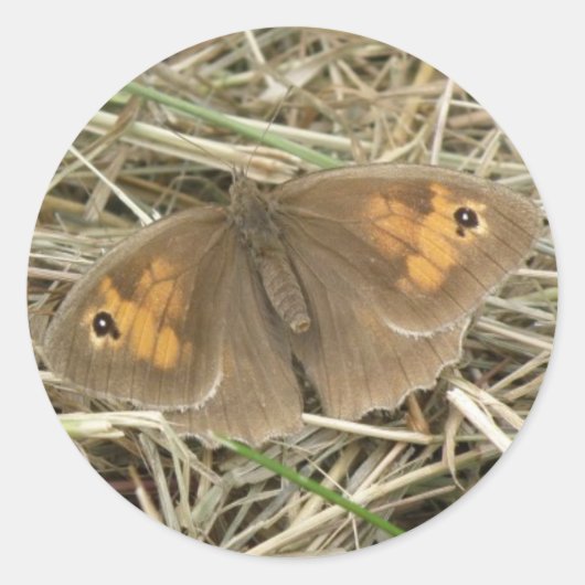 Stickers Brown à papillon de prairie pour femmes (Devant)