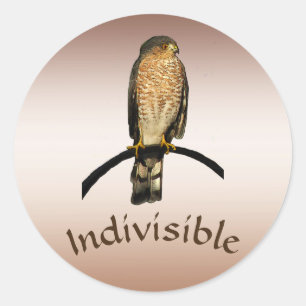 Stickers Brown Hawk indivisible
