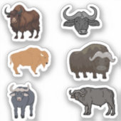 Stickers Buffalo (Recto)