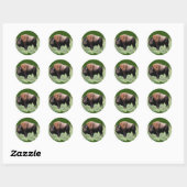 Stickers Buffalo Brown américain (Feuille)