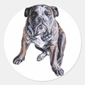 Stickers Bulldog Custom Anglais Bulldog Stickers (Devant)