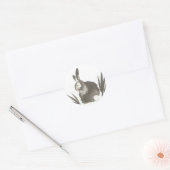 Stickers Bunny Bon Bon (Enveloppe)