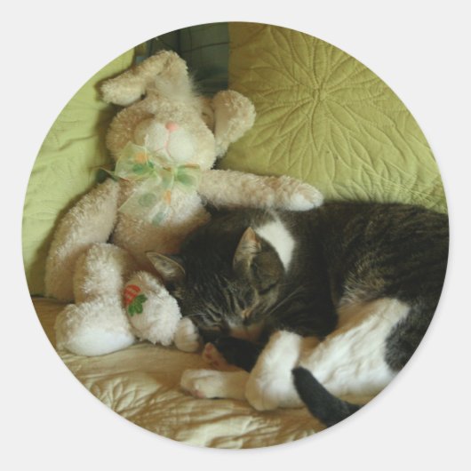 stickers Bunny et kitty ami (Devant)