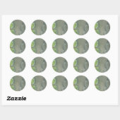 Stickers Cactus Spike (Feuille)