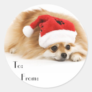 Stickers Cadeau Chien de Noël