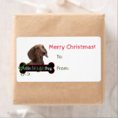 Stickers cadeaux Feliz Naughty Dachshund (En situation)