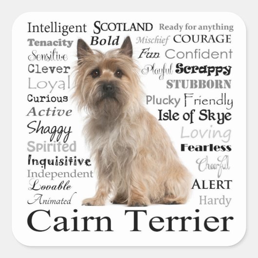 Stickers Cairn Terrier Breed Traits (Devant)