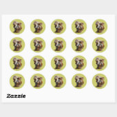 Stickers Camel (Feuille)