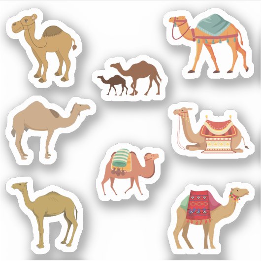 Stickers Camel (Devant)
