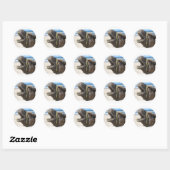 Stickers Camel Désert (Feuille)
