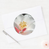 Stickers Camellia (Enveloppe)