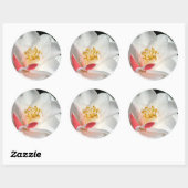 Stickers Camellia (Feuille)