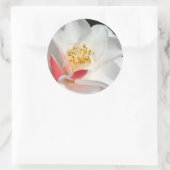 Stickers Camellia (Sac)