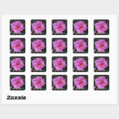 Stickers Camellia Rose (Feuille)