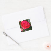 Stickers Camellia Rouge (Enveloppe)
