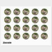 Stickers Canard (Feuille)