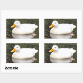Stickers canard blanc (Feuille)